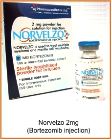 norvelzo (bortezomib 2mg injection)